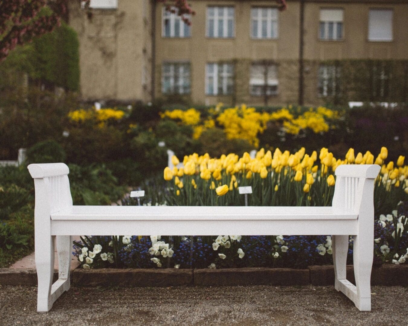 Memorial Benches