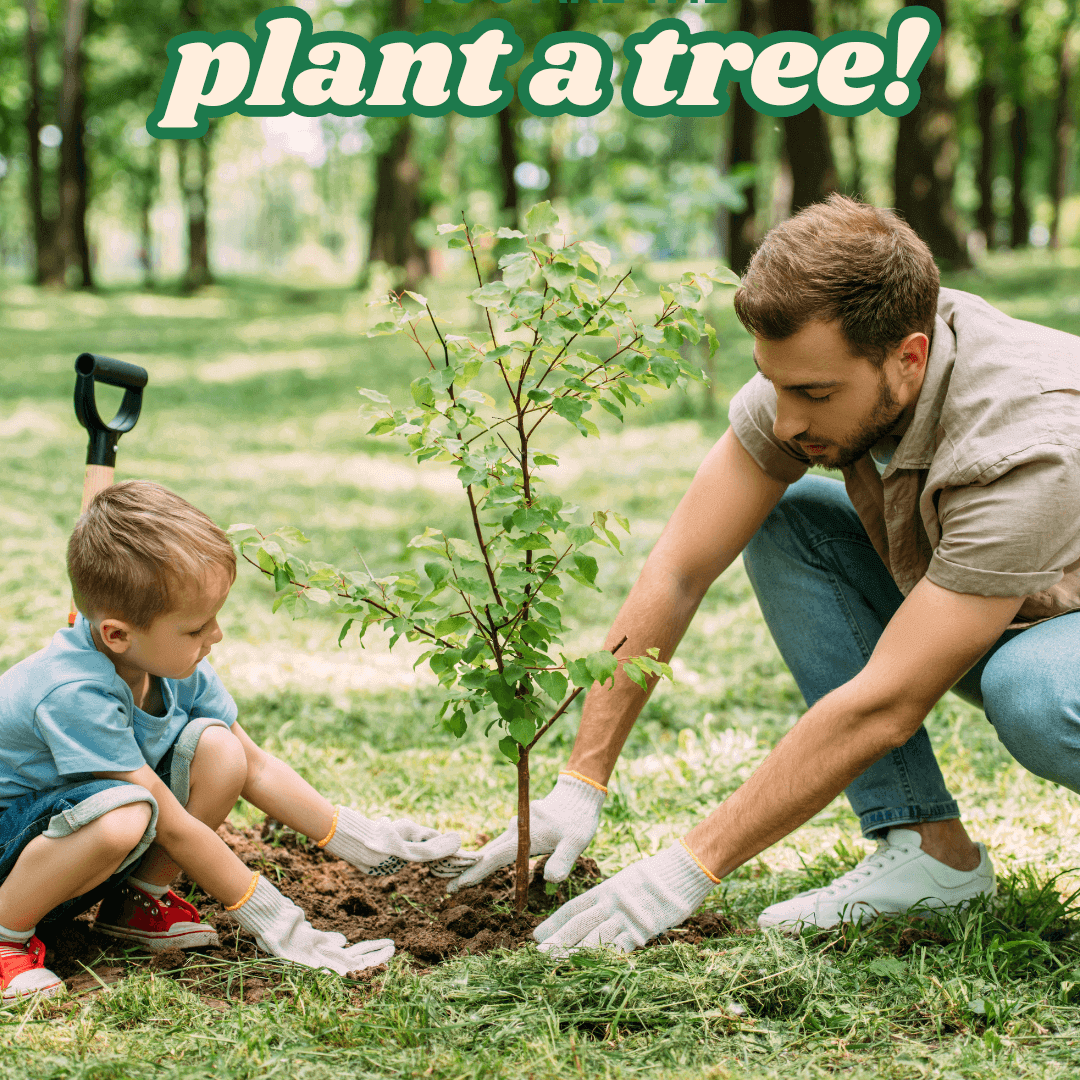 Father and son planting a tree.