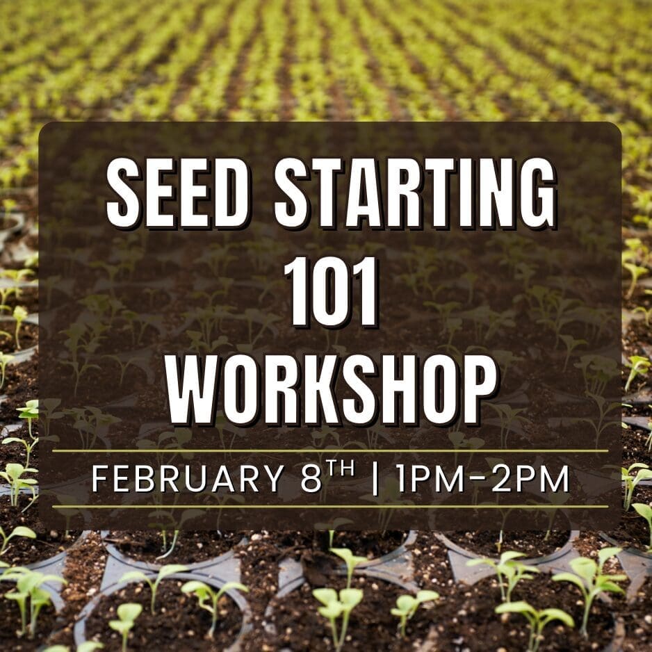 Seed Starting 101 Workshop